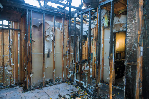 Professional Fire Damage Removal technician working in Lowell, AR